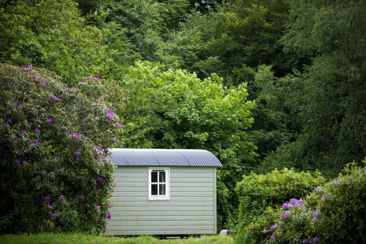 Blackstairs Shepherds Huts Camping