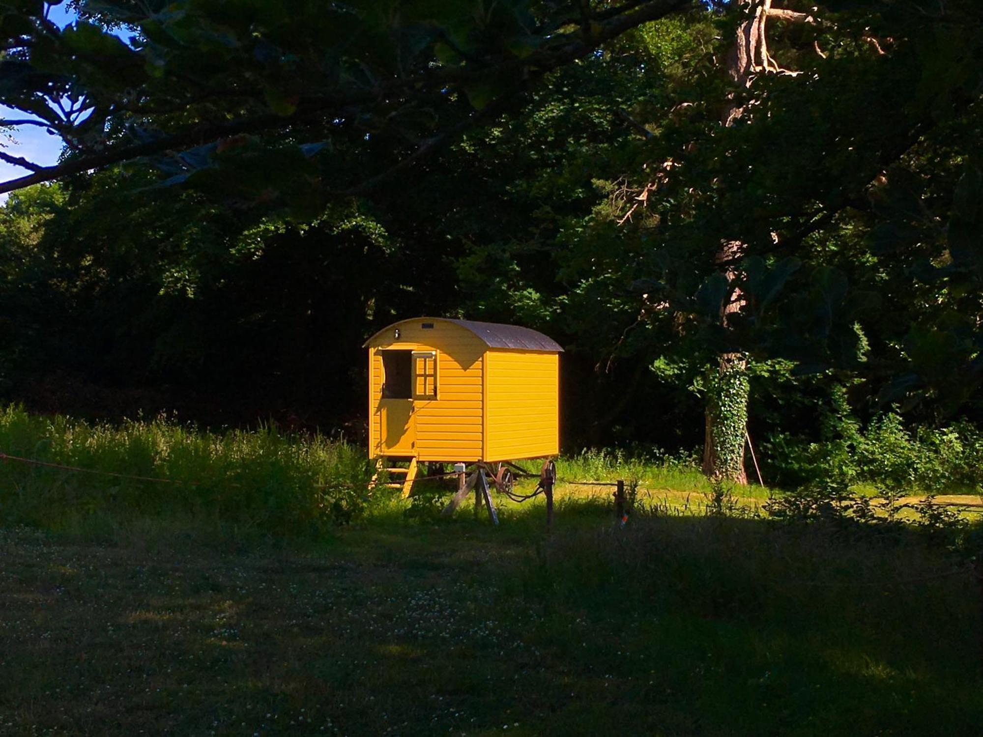 Blackstairs Shepherds Huts Camping