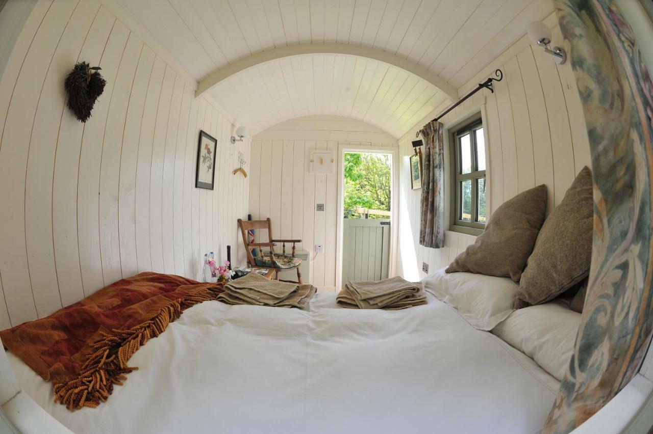 Blackstairs Shepherds Huts Camping