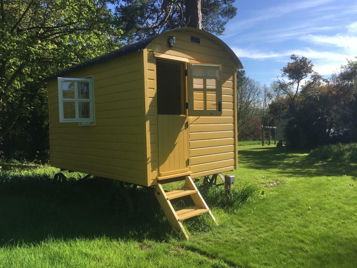 Blackstairs Shepherds Huts Camping *
